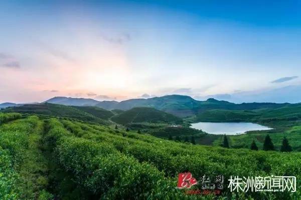 对不起，这个五一我就呆在株洲！别再约我了！
