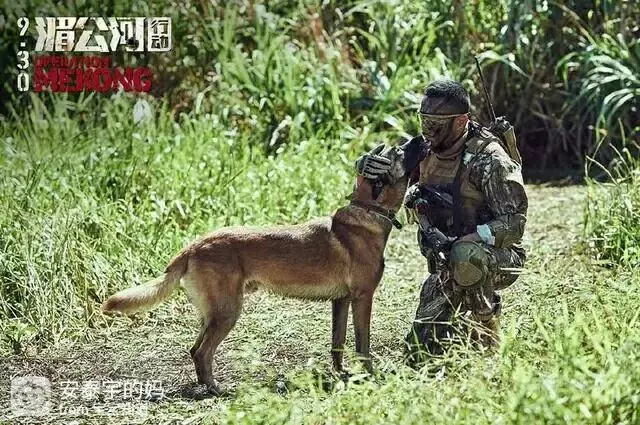 [电影推荐]《红海行动》，春节档最佳！