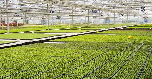 《2018年胡润百富榜》发布，原来这些富豪都在做农业！