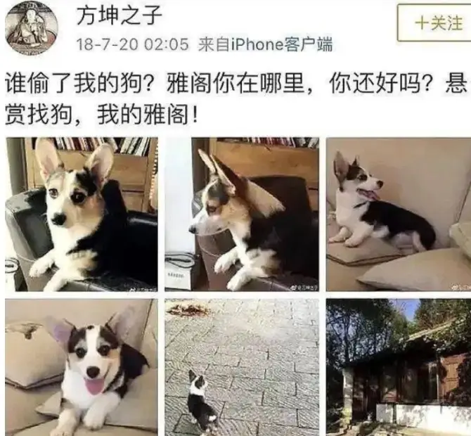 在娱乐圈“口无遮拦”的袁立：终于活成了她想要的样子