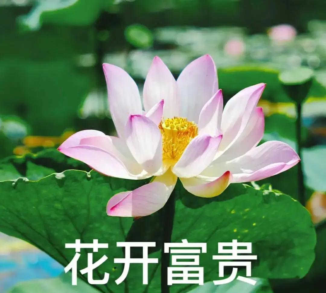 人生贫富有预兆，发不了财，可能这三个原因，看看你身上有哪个？