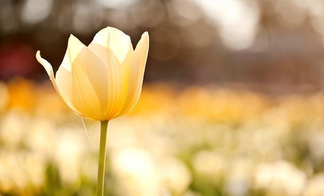 “命中带财,自有天相”:一个人的财运,要看这些天意