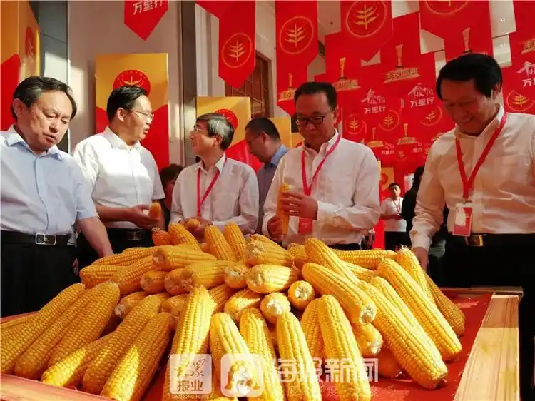 庆丰收迎小康!这些人齐聚乐陵,只为这场丰收盛典!