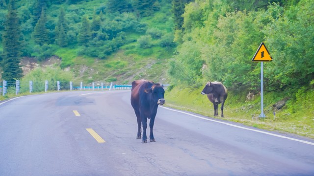 18句步步高升的唯美句子,激励你追逐梦想,勇往直前
