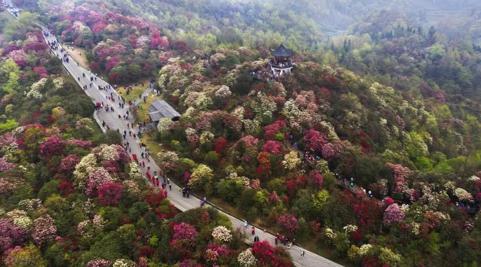 贵州旅游必去的15个景区,去过一半已经此生无憾,你去过了几个