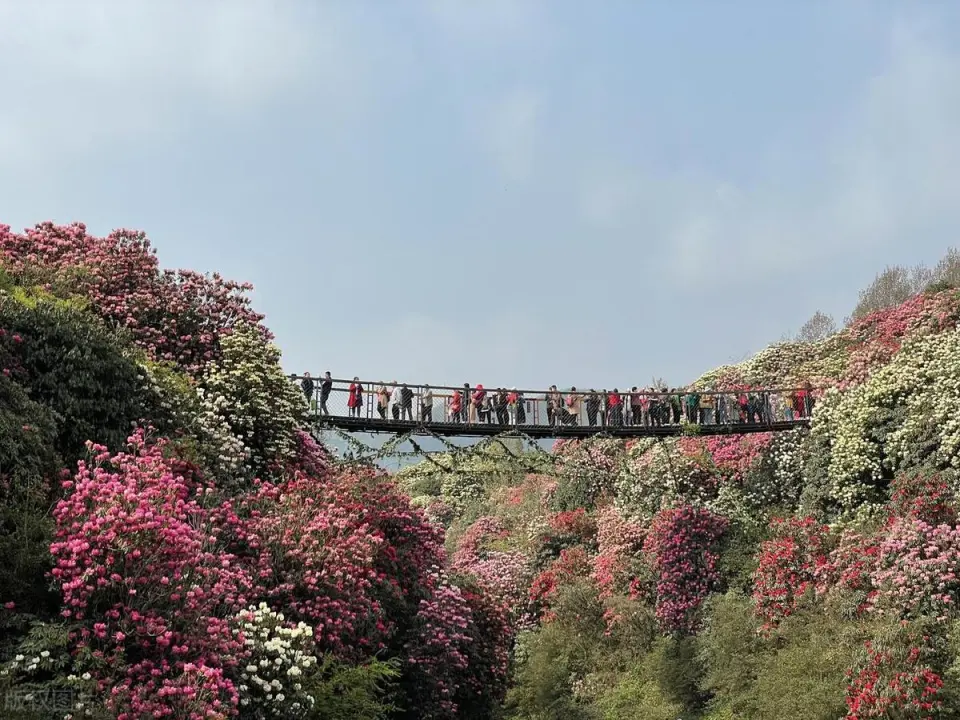 贵州旅游必去的15个景区,去过一半已经此生无憾,你去过了几个