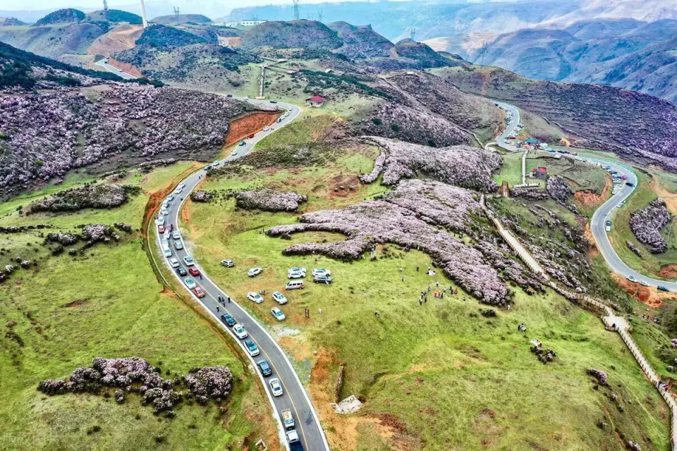 贵州旅游必去的15个景区,去过一半已经此生无憾,你去过了几个