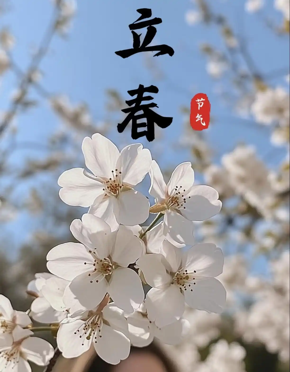 “立春除夕前，春打六九头”，2026年立春不一般，有啥说法？