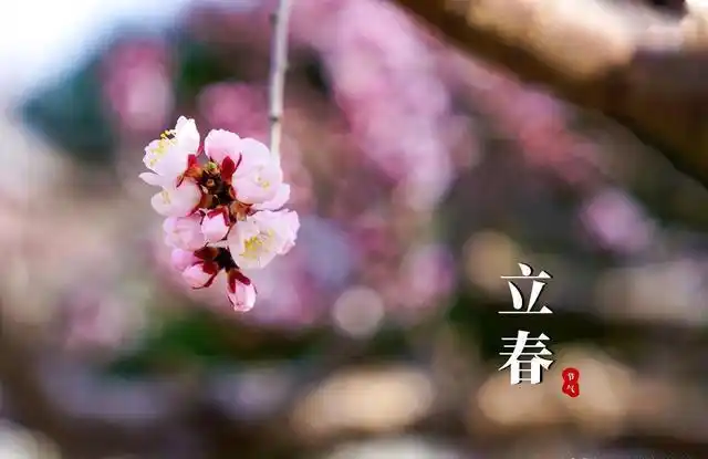 春来了吗?2026年2月4日04时01分51秒立春