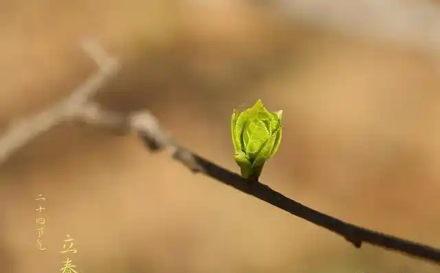 春来了吗?2026年2月4日04时01分51秒立春