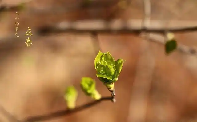 春来了吗?2026年2月4日04时01分51秒立春