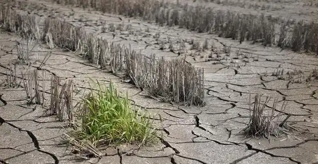 春来了吗?2026年2月4日04时01分51秒立春