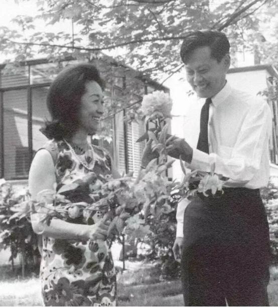 杨振宁父亲拜托胡适为儿子找对象，胡适笑了：他用不着我帮忙