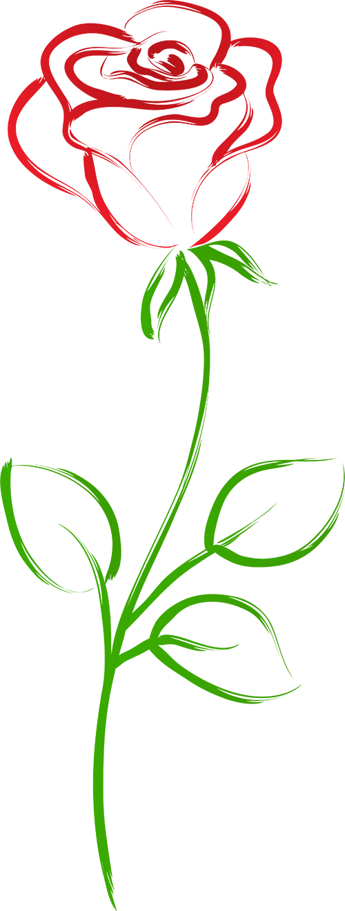 新课标引领新课堂      优质课尽展新素养