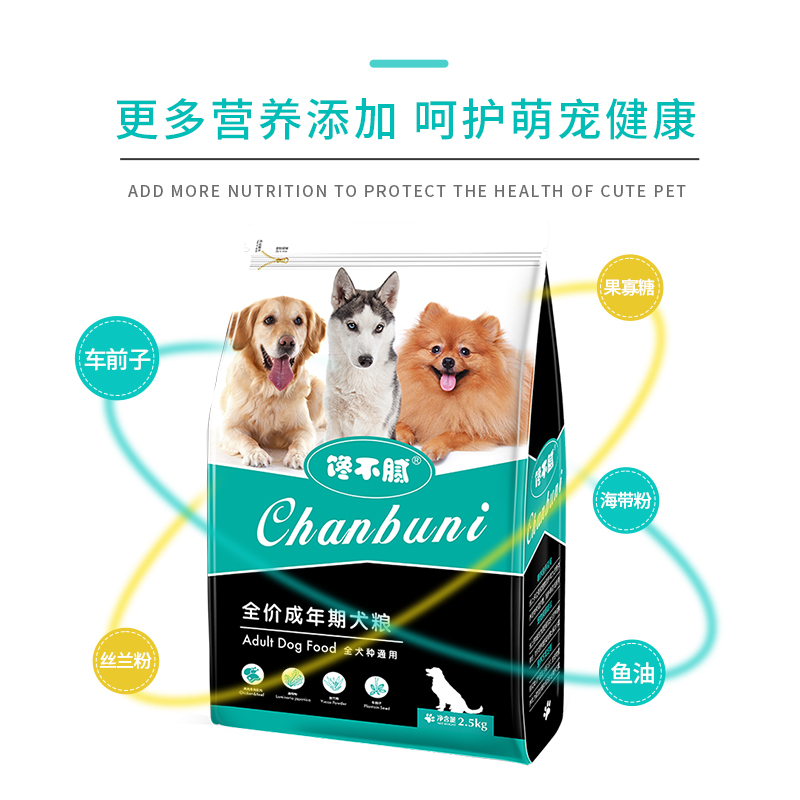 如何养好一只贵宾犬？这6点很关键，不妨看看
