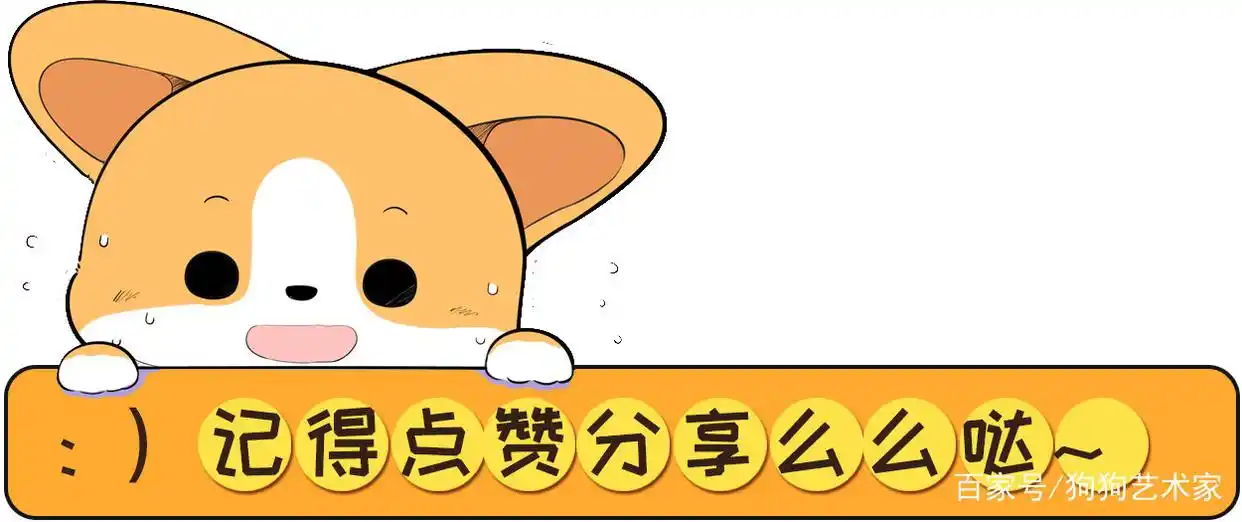 如何养好一只贵宾犬？这6点很关键，不妨看看