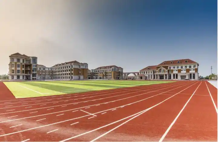 议论文如何体现逻辑和思辨力？两位中学名师都建议：了解时事，增加阅读