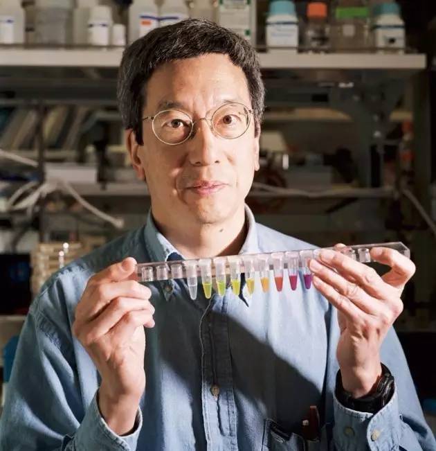 科学人物 | Nature：钱永健，一个照亮生物学的男人