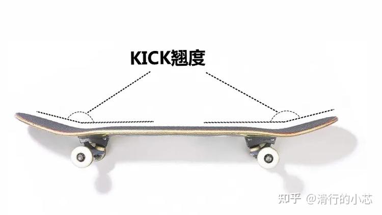 【7类常见滑板选款攻略】初学滑板怎么选？【游龙板/鱼板/双翘板/陆冲板/长板/公路板/漂移板】