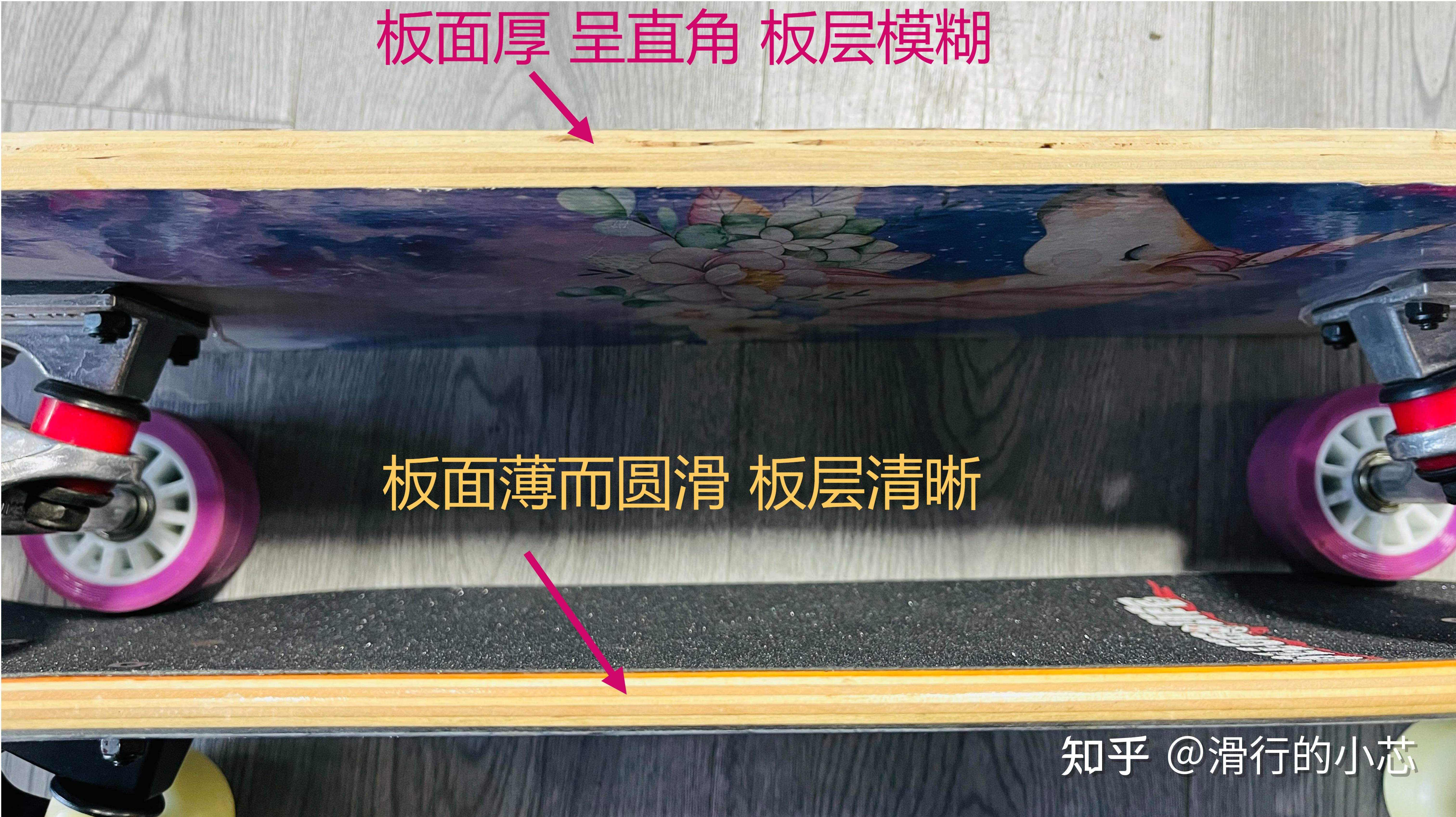 【7类常见滑板选款攻略】初学滑板怎么选？【游龙板/鱼板/双翘板/陆冲板/长板/公路板/漂移板】