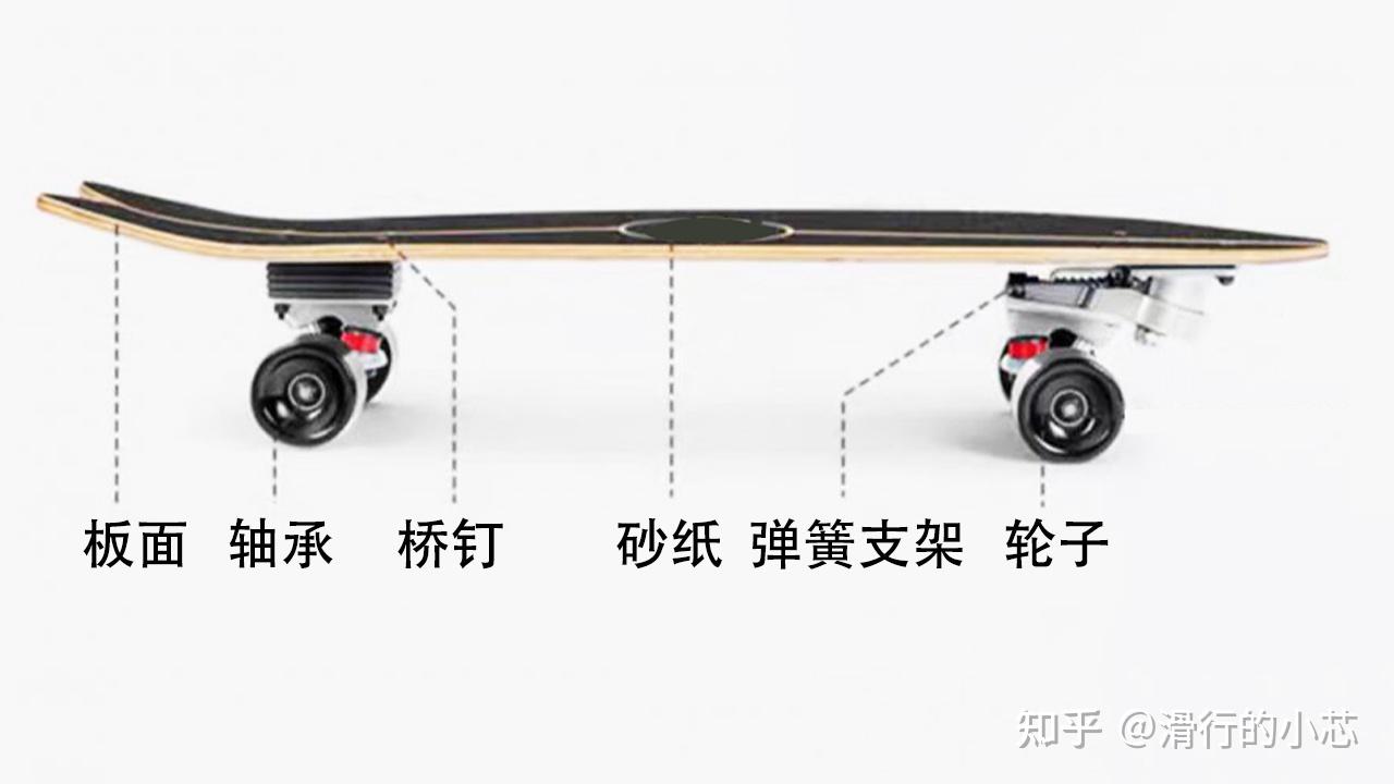 【7类常见滑板选款攻略】初学滑板怎么选？【游龙板/鱼板/双翘板/陆冲板/长板/公路板/漂移板】