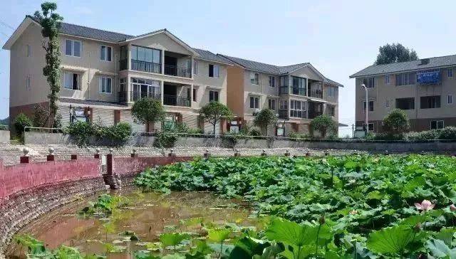 好消息！犍为绕城公路全线贯通！未来发展要上天了！