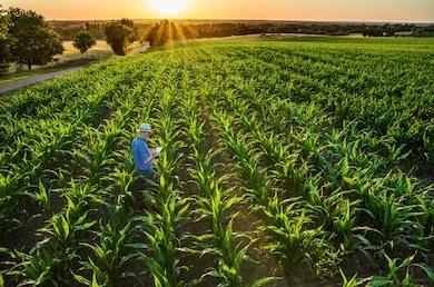 二、生物学的产生和发展