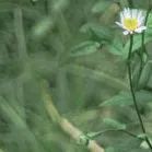 【重阳节特辑】用心用情做好老干部工作，让夕阳照样红