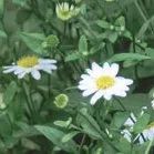 【重阳节特辑】用心用情做好老干部工作，让夕阳照样红