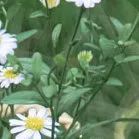 【重阳节特辑】用心用情做好老干部工作，让夕阳照样红