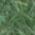 【重阳节特辑】用心用情做好老干部工作，让夕阳照样红