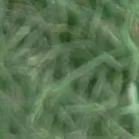 【重阳节特辑】用心用情做好老干部工作，让夕阳照样红