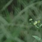 【重阳节特辑】用心用情做好老干部工作，让夕阳照样红