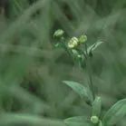 【重阳节特辑】用心用情做好老干部工作，让夕阳照样红