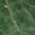 【重阳节特辑】用心用情做好老干部工作，让夕阳照样红