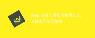 Web 开发人员如何利用 SEO 来提高网站的性能
