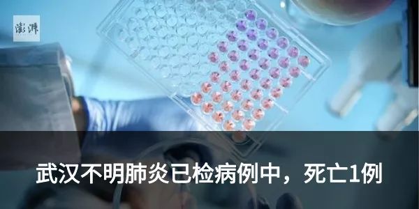 《三国志》系列游戏，已经35岁了