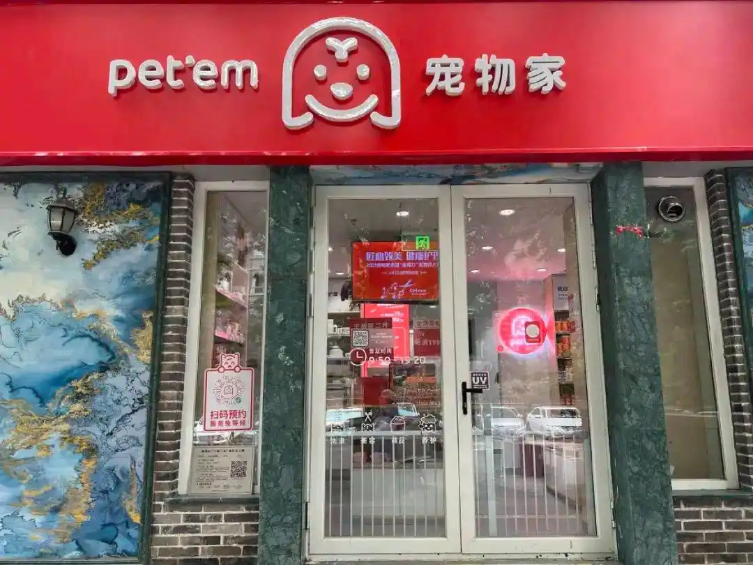 1亿猫猫狗狗的“洗剪吹”生意