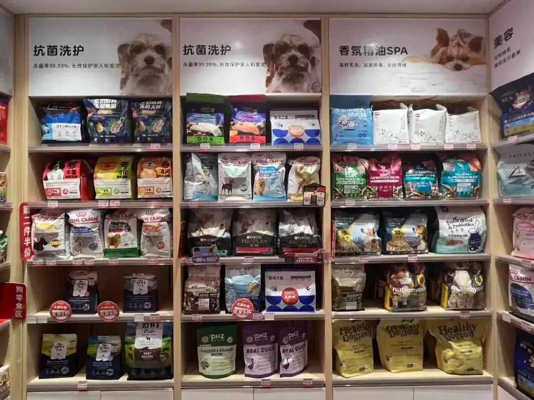 1亿猫猫狗狗的“洗剪吹”生意