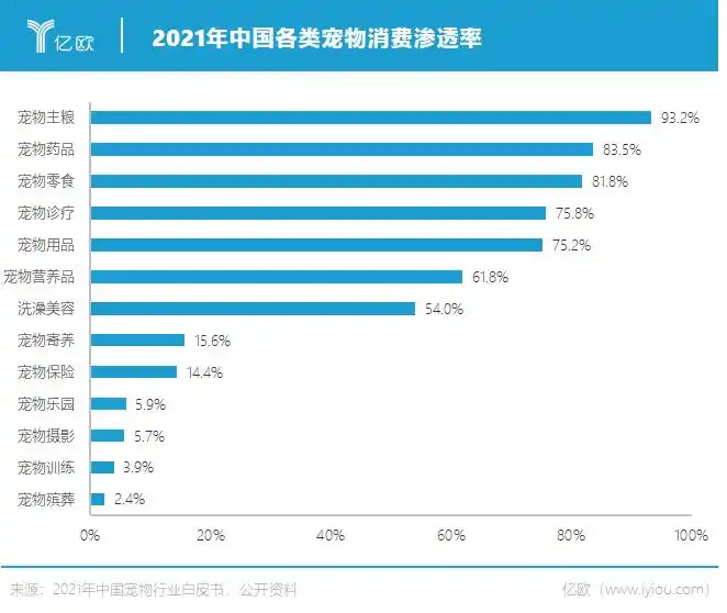 1亿猫猫狗狗的“洗剪吹”生意
