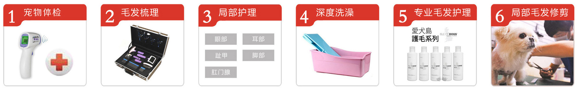 摸摸哒,宠物O2O服务从上门给汪星人洗澡开始