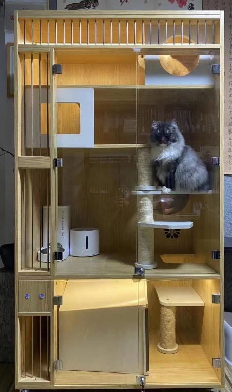 春节回家，“毛孩子”谁来管？宠物寄养、上门喂养、铲屎黑科技火爆