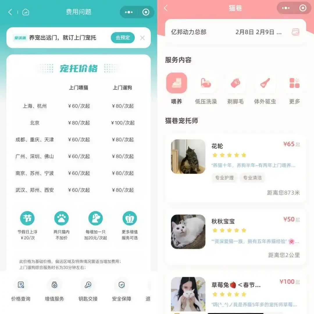 春节火爆！盒马入局 98元/次的上门喂猫遛狗是一门好生意吗