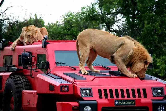 每日一车:派拉蒙掠夺者