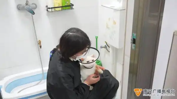 “萌宠经济”火热升温，“上门洗宠”需求高→