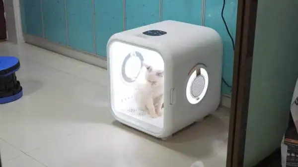 “萌宠经济”火热升温，“上门洗宠”需求高→