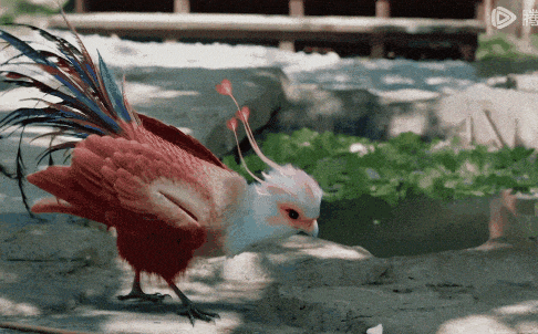 给近三年最火的10部国产剧排个名：《繁花》仅第8，第1名没有争议