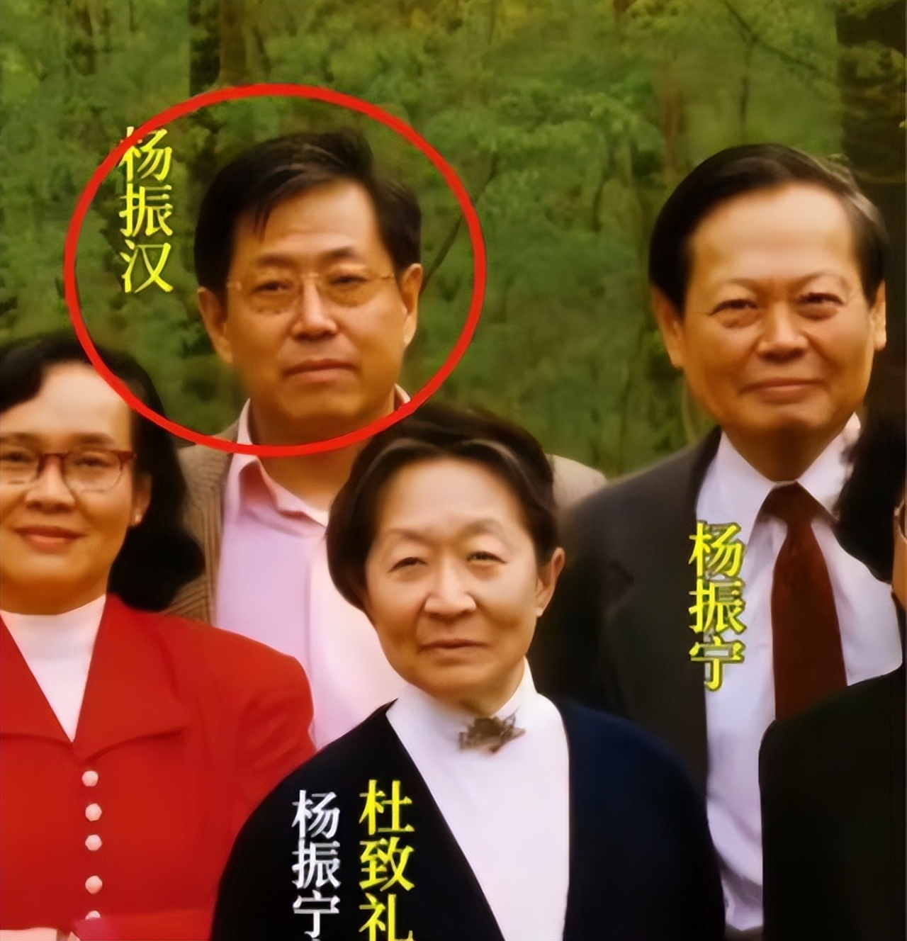 不查不知道,一查才发现,原来杨振宁的弟弟杨振汉也如此厉害