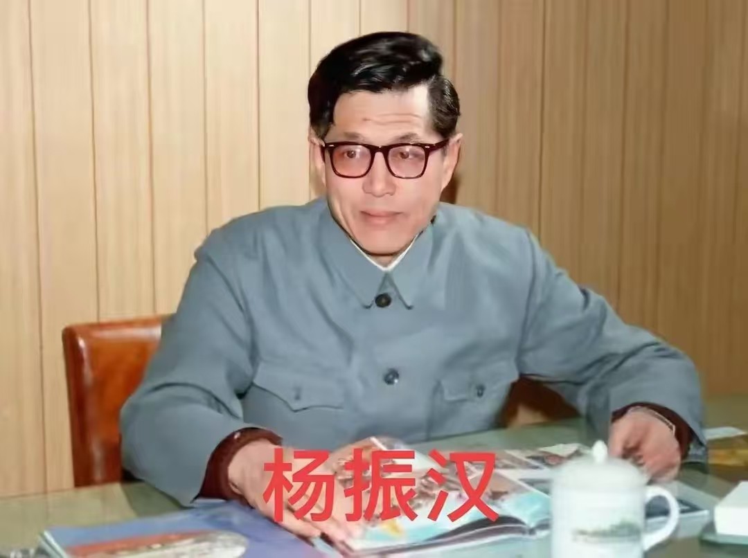 不查不知道,一查才发现,原来杨振宁的弟弟杨振汉也如此厉害