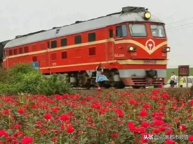 吵架情侣逼停火车！在铁道边做这些事儿，可能坐牢丢命！